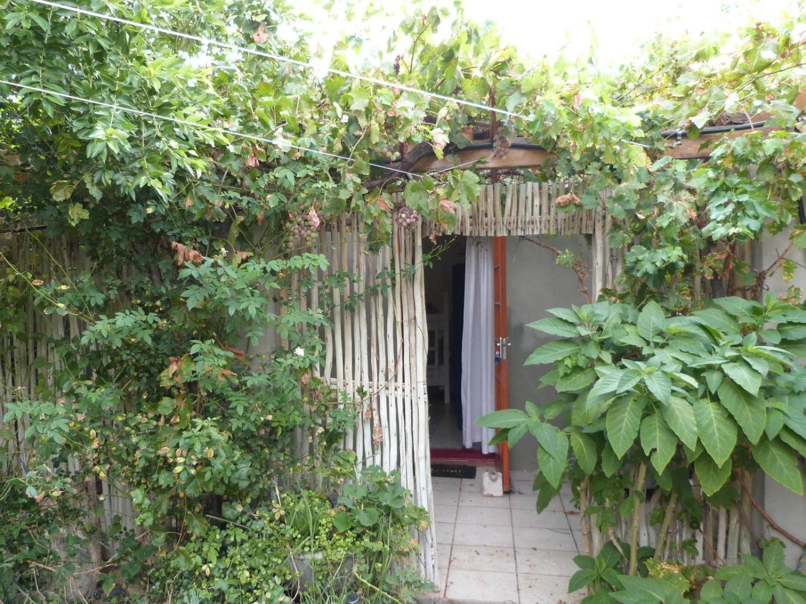 Hannah'S Haven Studio Deluxe - No Loadshedding Apartment Beaufort West Exterior photo
